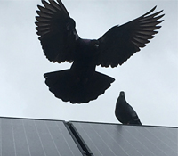Image of Solar Air